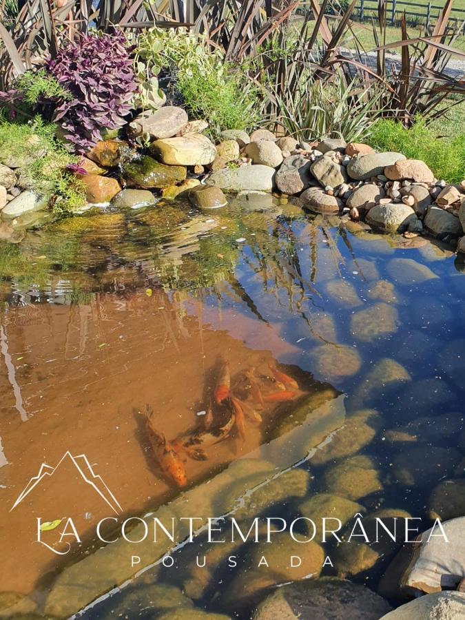 La Contemporânea Cabanas Urubici Extérieur photo